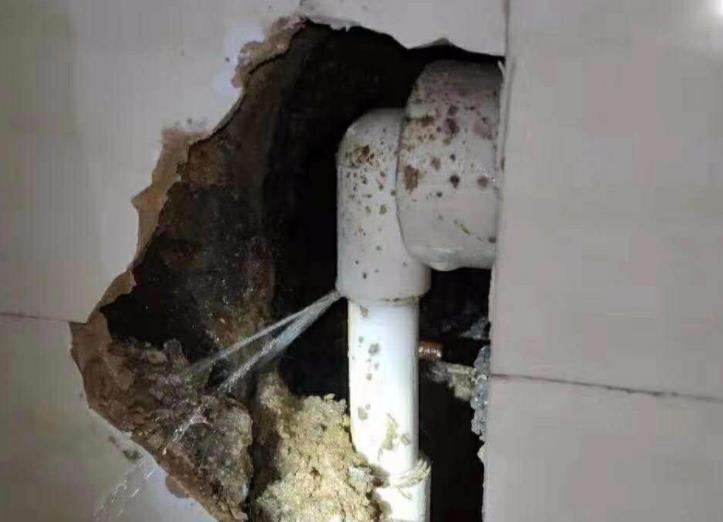 公元水管漏水包賠嗎？選購時別光看牌子！還得看它！